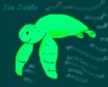 Seaturtle.JPG